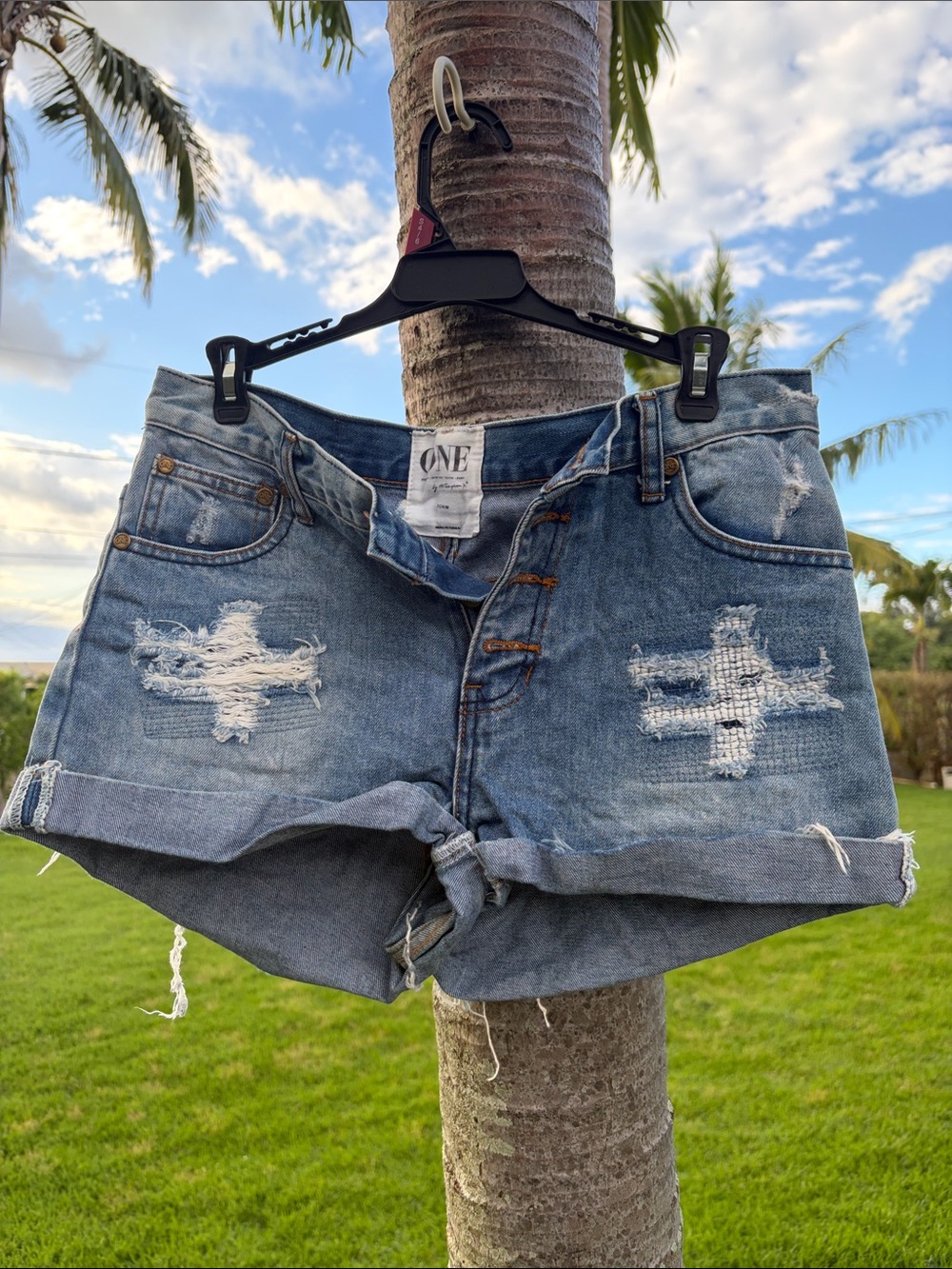 One Teaspoon Hawks Light Blue Distressed Denim Shorts
